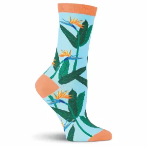 Birds of Paradise