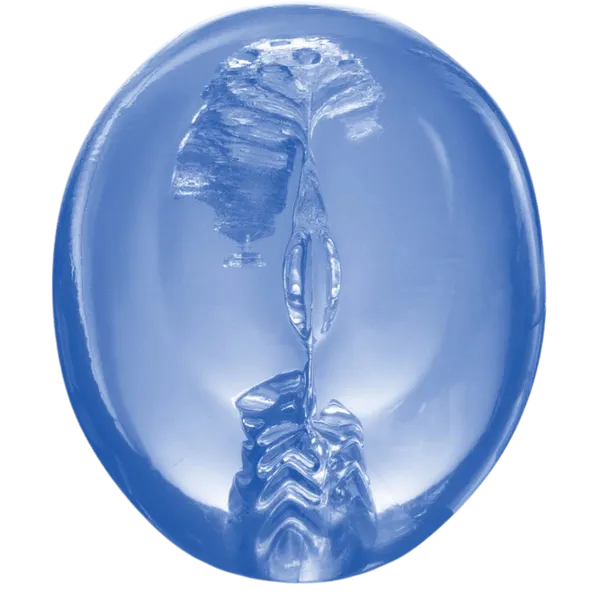 Pocket Jelly Masturbator 3.5